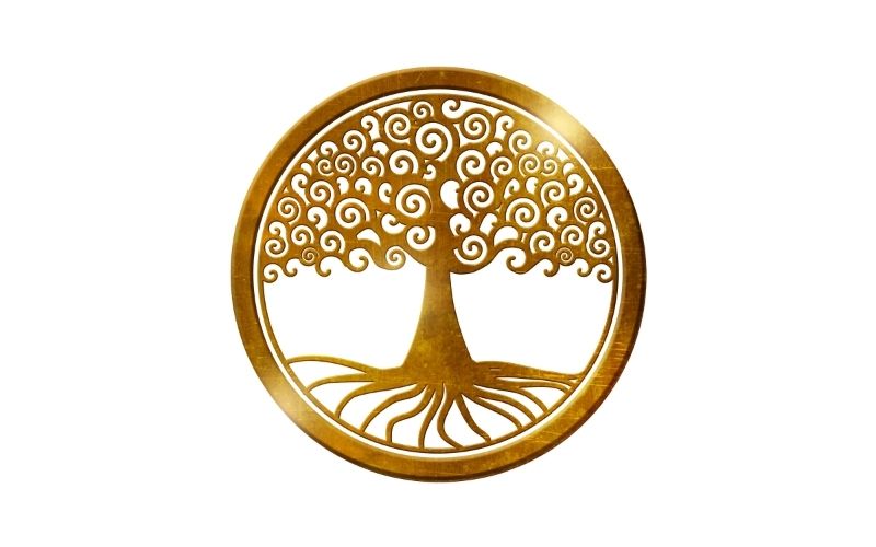 Signification & Bienfaits de l'arbre de vie
