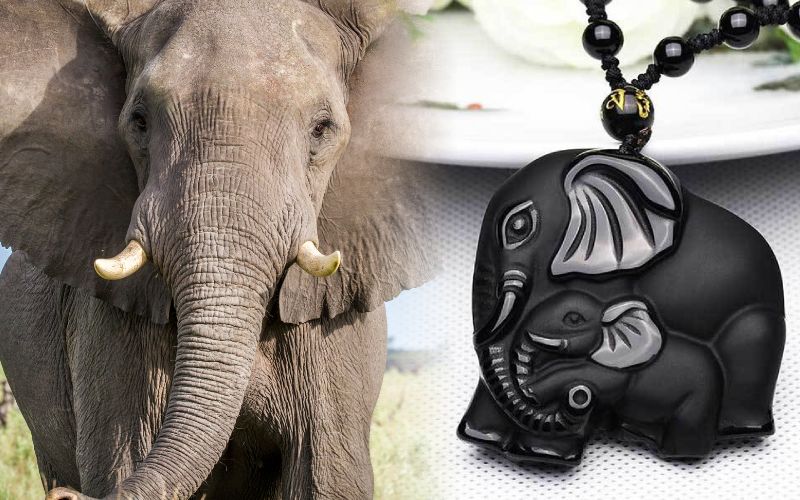 la signification du symbole de l’éléphant