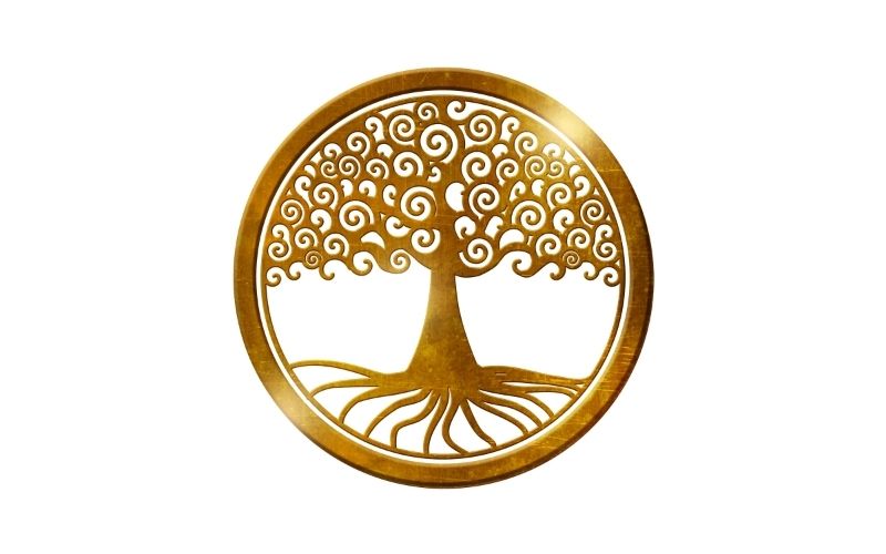 l'arbre de vie : signification et symbolisme spirituels