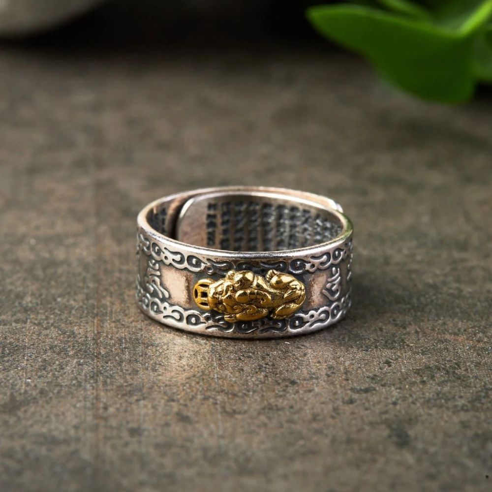 Bague Mantra Pixiu Feng Shui – Richesse & Protection - Karma et Moi