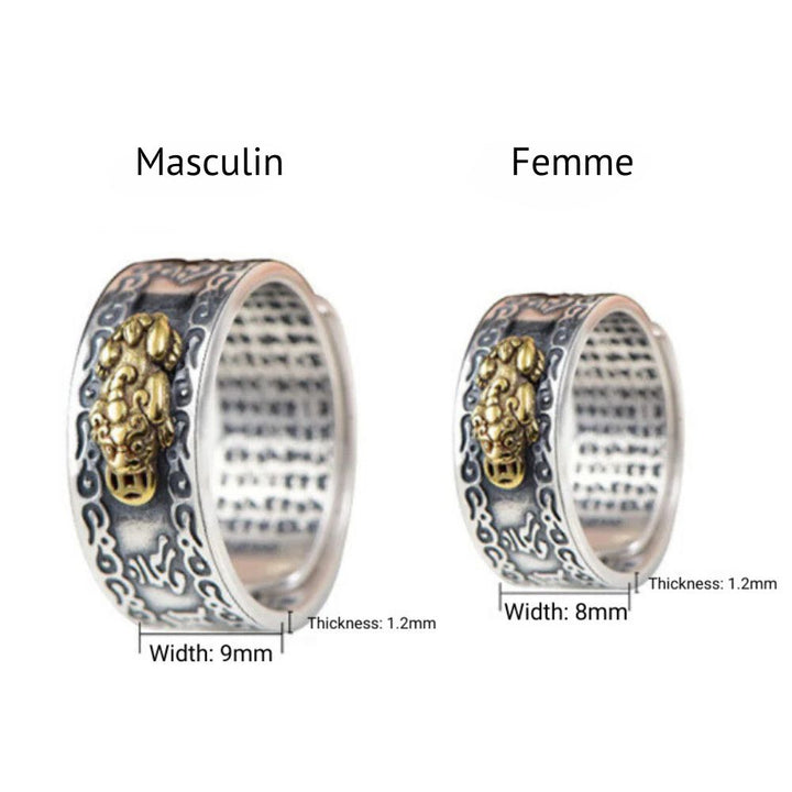 Bague Mantra Pixiu Feng Shui – Richesse & Protection - Karma et Moi